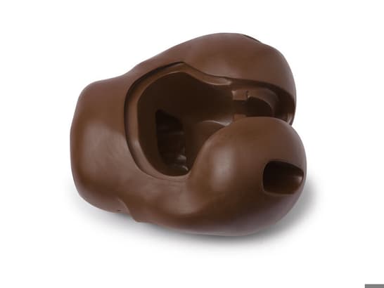 PELVIS; AFH-NO BRDGE (B) ADULT FEMALE HOSP