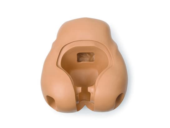 PELVIS; AFH-NO BRDGE (T) ADULT FEMALE HOSP