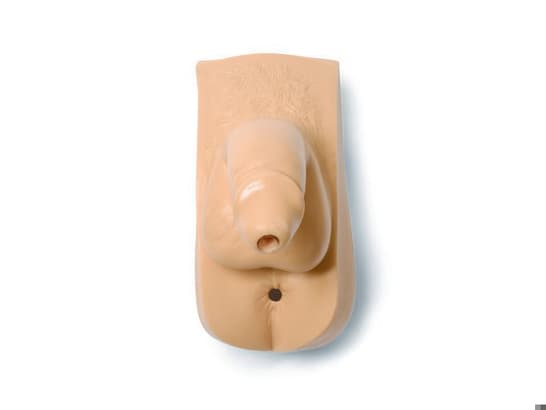 GEN; MALE-ADLT FEMALE-S MNKN-STD-NEW STYLE