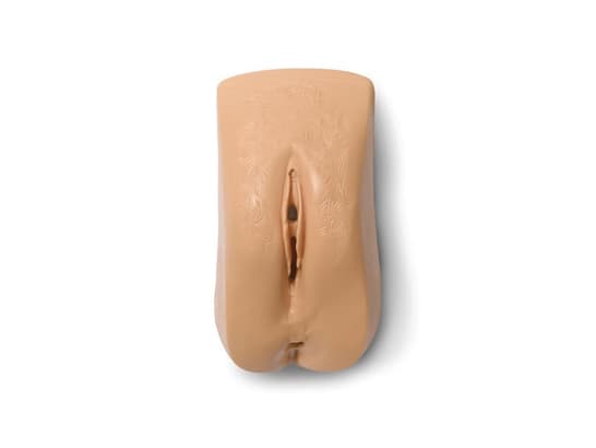 Female Genitalia Light