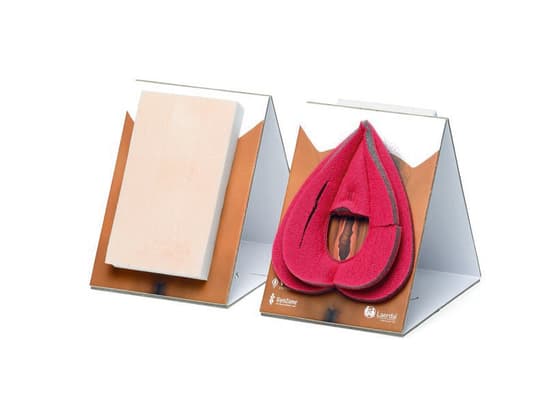 Labia Repair Model 