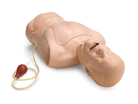 Torse soins trachéo et sonde gastrique