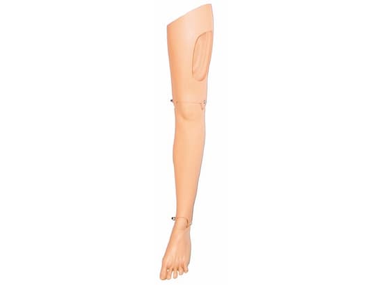 Leg Assembly, Left Adult