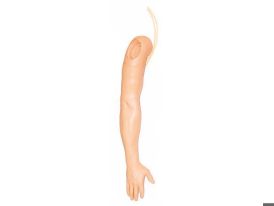 Right IV Arm (S) Multi-Vein IV Arm