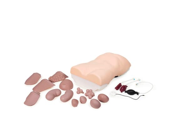 Abdominal Examination Trainer - Light