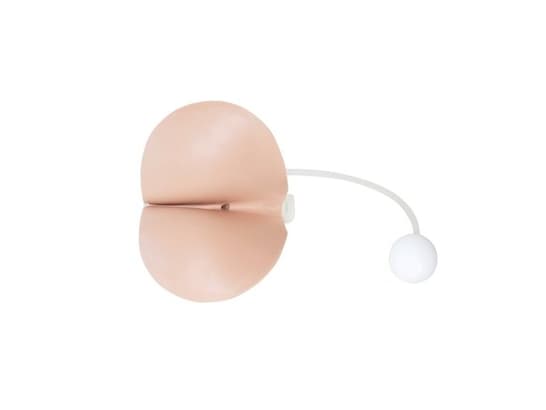Normal Perineum