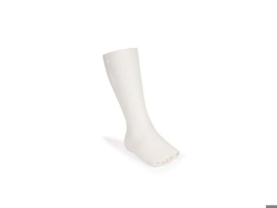 Foot and Ankle Musculature