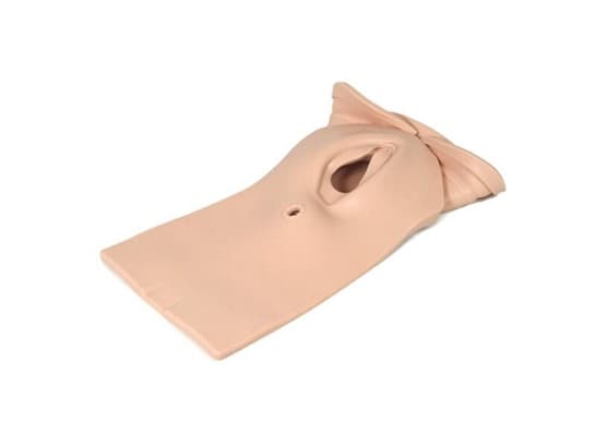 PROMPT Flex Perineum & Birth canal