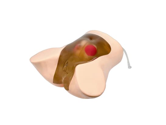 Amniocentesis Ultrasound Model (16-week twin pregnancy, Transparent)