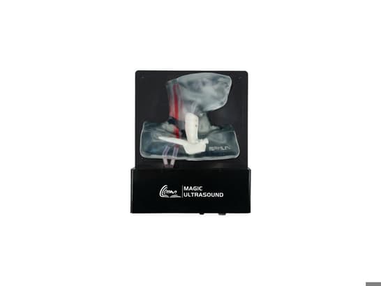 Internal Jugular Vein Puncture Ultrasound Model (Transparent, Auto pump)