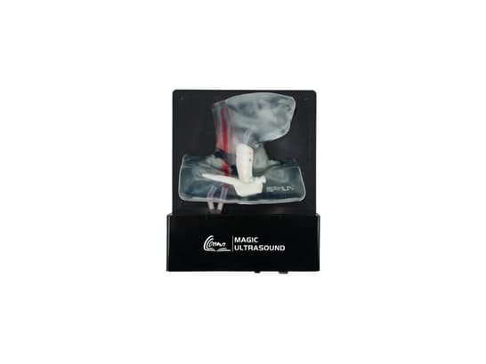 Internal Jugular Vein Puncture Ultrasound Model (Transparent, Auto pump)