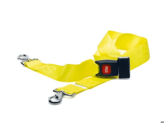 Zweiteiliger Metallgurt mit Federfängen