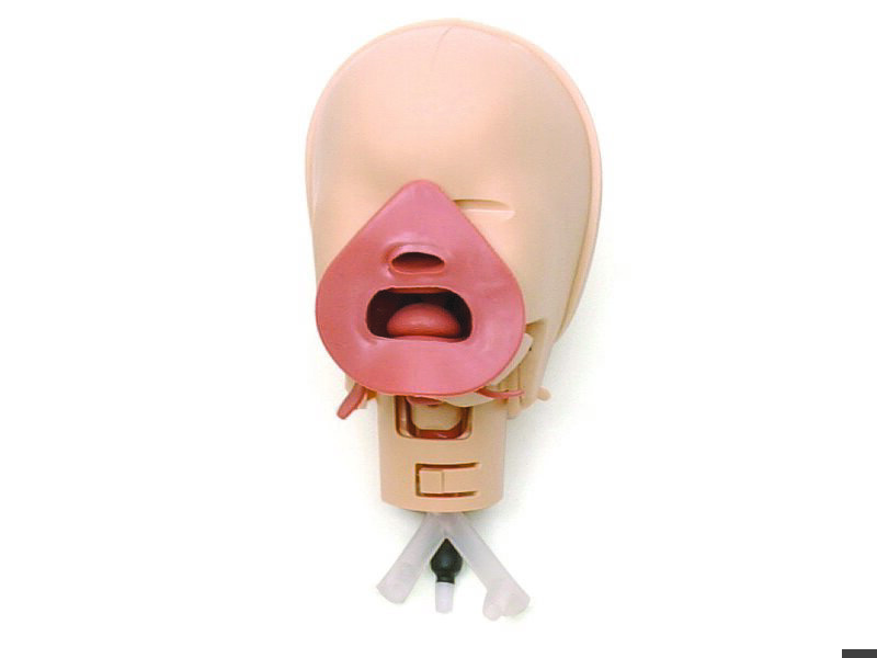 Head & Airways without face skin