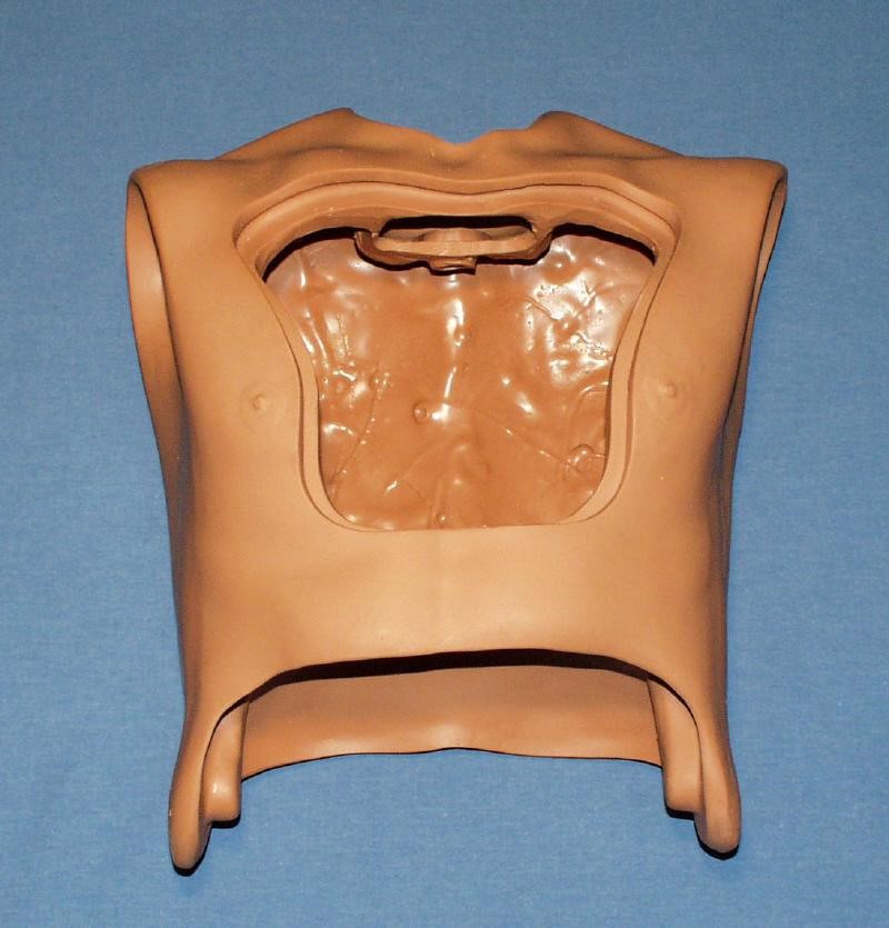Torso, Am-Hosp Full Cut