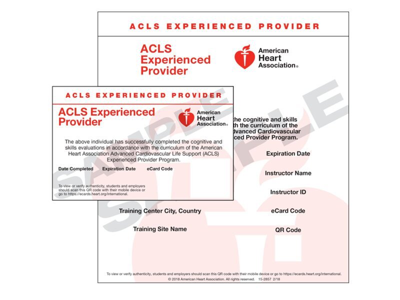 IVE ACLS EP Provider Ecard 1 pz.