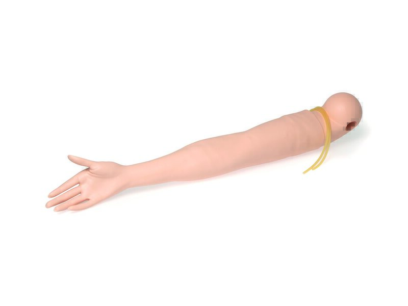 IV Arm Left Adult Female