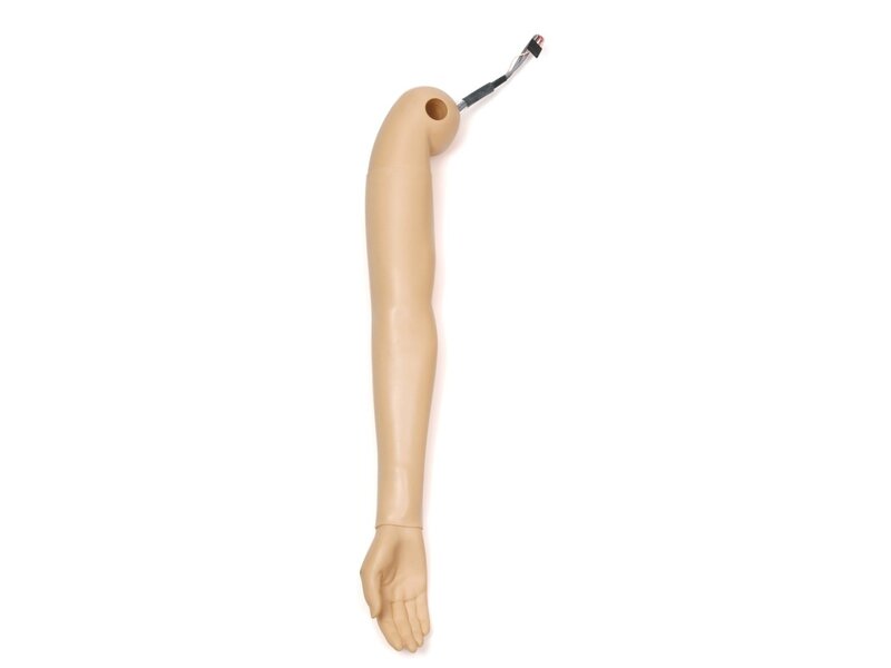 Blood Pressure Arm, Right, Adult Female