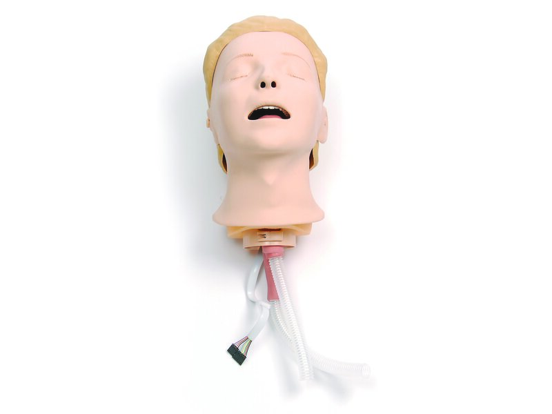 Resusci Anne Simulator Airway Head 