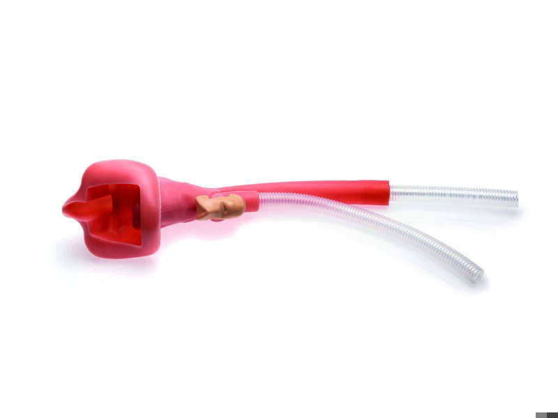 Resusci Anne Simulator/Advanced SkillTrainer Upper Airway Complete