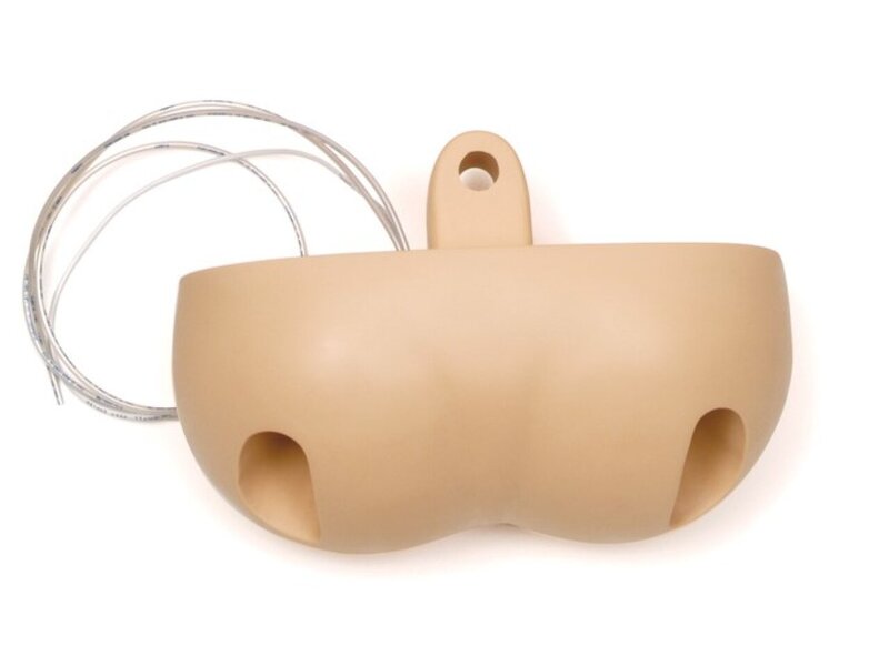 Resusci Anne Simulator Pelvis with Air Container Complete