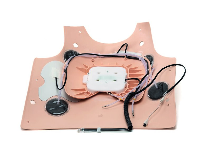 Resusci Anne Simulator Brusthaut für AED / Shocklink