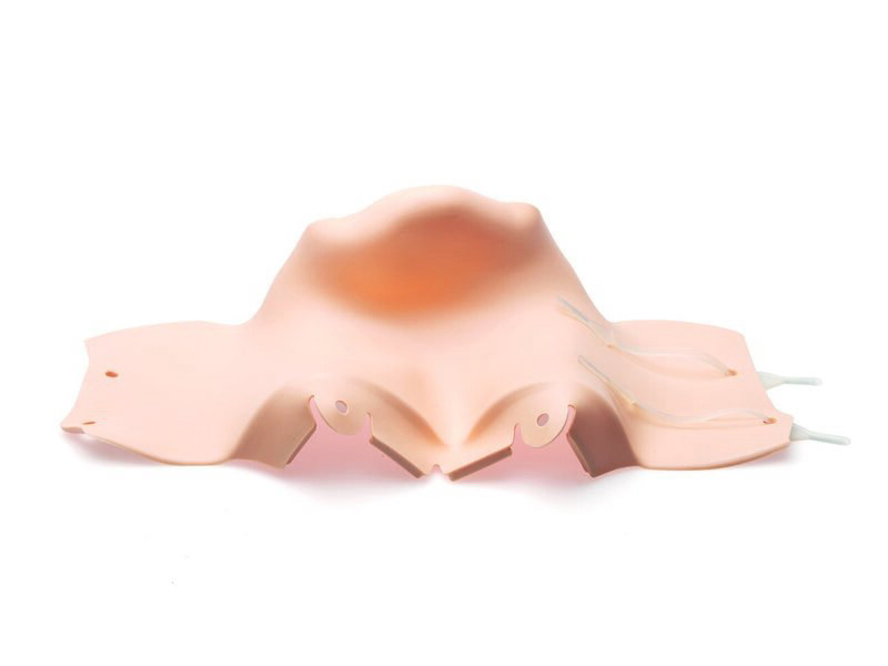 Neck skin w/fasteners