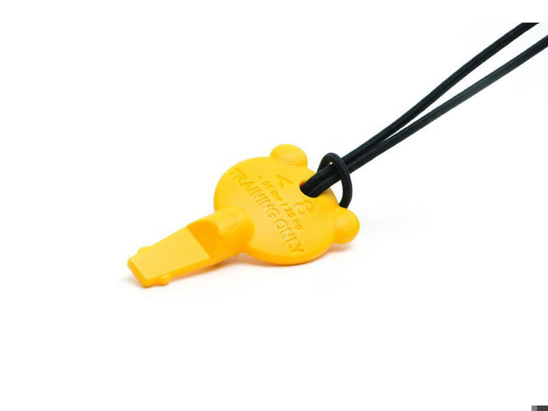 AEDT3 Pediatric Key