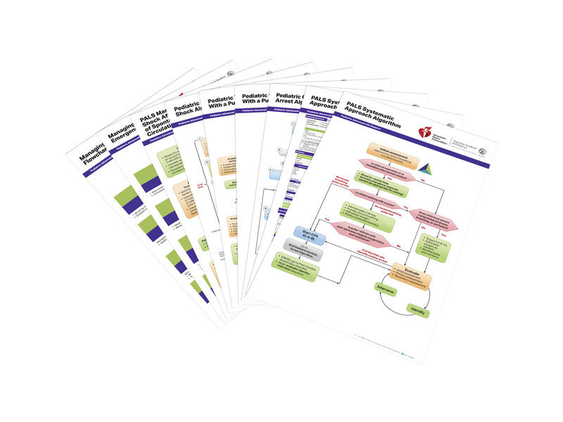 PALS Poster Set 2020 Set of 10