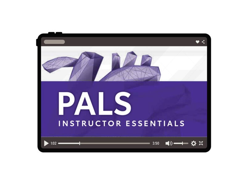 PALS IE Course Digital Videos