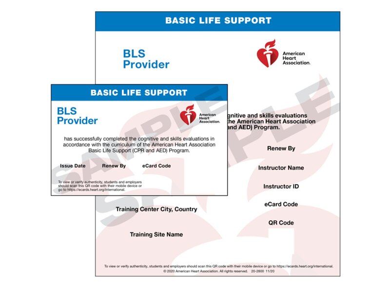 BLS Provider Ecard International English