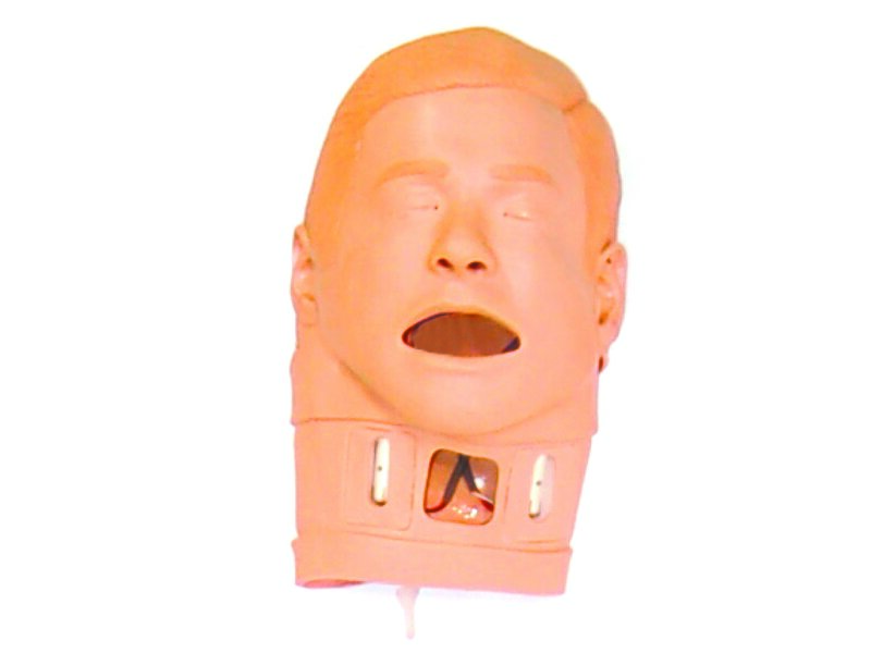 Headskin Assembly ALS Simulator, MegaCode Kelly with straps