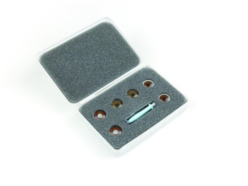 SET; PUPIL INSERTS-BRW