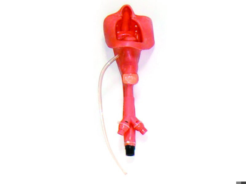 Airway, Tongue Assembly MCKelly/ALS Sim