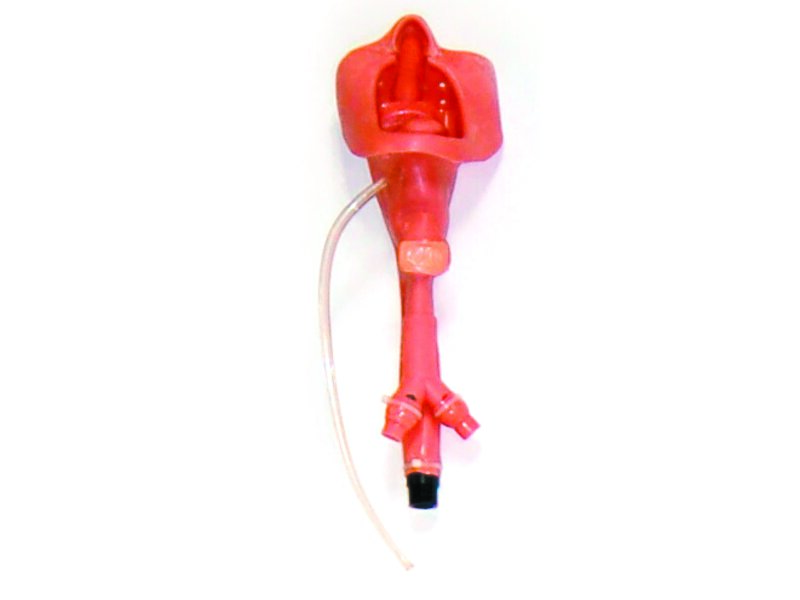 Airway, Tongue Assembly MCKelly/ALS Sim