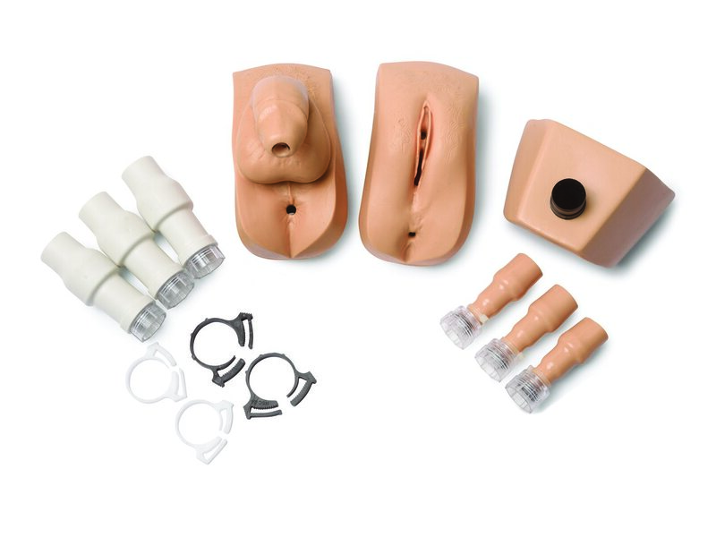 Genitalia Kit, male & female with valves