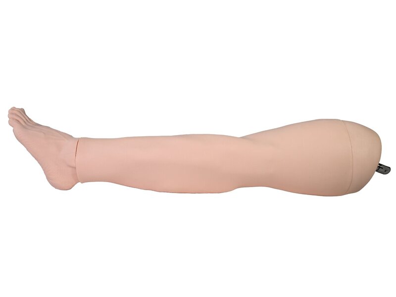 Faszien Unterextremitäten System, hell 