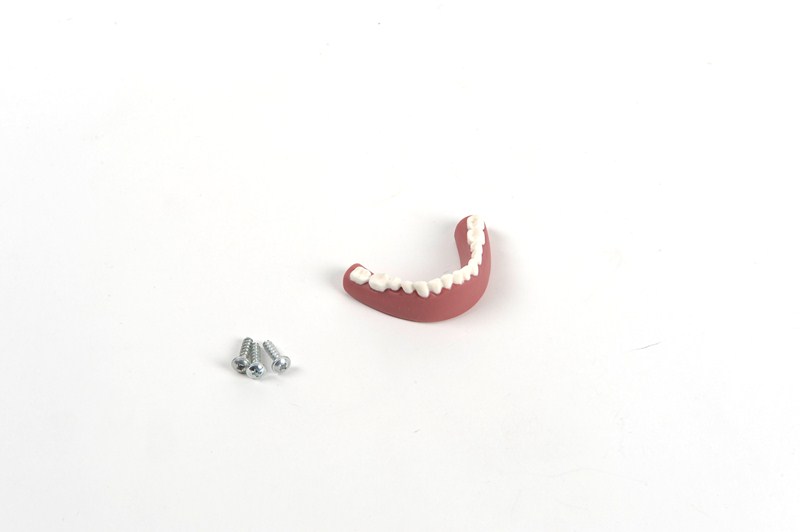 Lower teeth w/screws