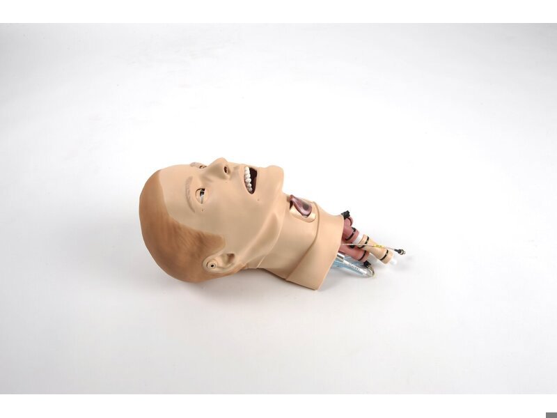 Head Complete