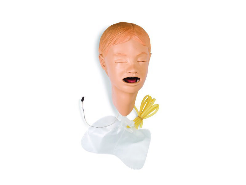 HEAD; PEDI INT SPAD (S)