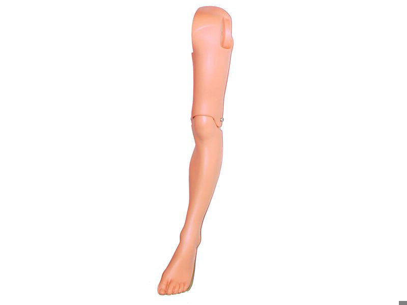 LEG; LFT-PD CPR-STD