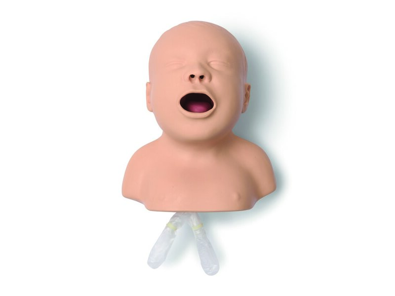 Neonate Intubation Head without Base