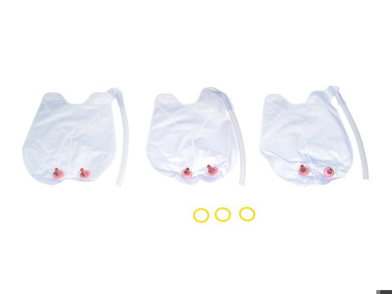 Lungs/stomach (pkg.3) for Infant AMT