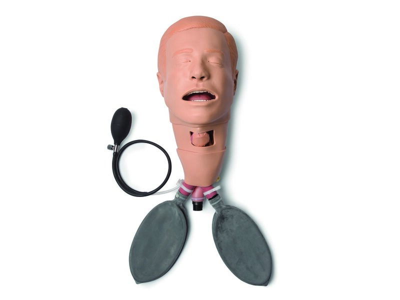 HEAD; DELUXE DIFF AIRWAY