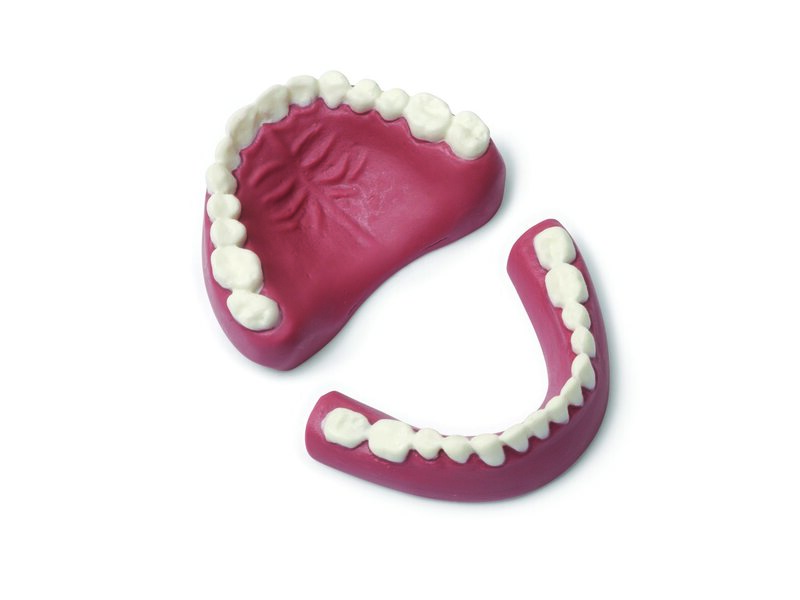 Denture Set - Upper/Lower, Adult