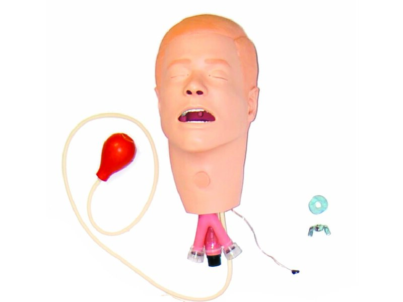Head Assembly, Adult Male, with Trach Plug (SimPad Capable)