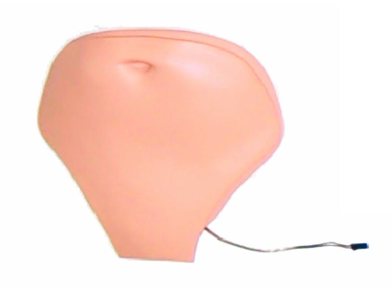 Belly Plate, Adult, with Speakers SimPad Capable Manikins