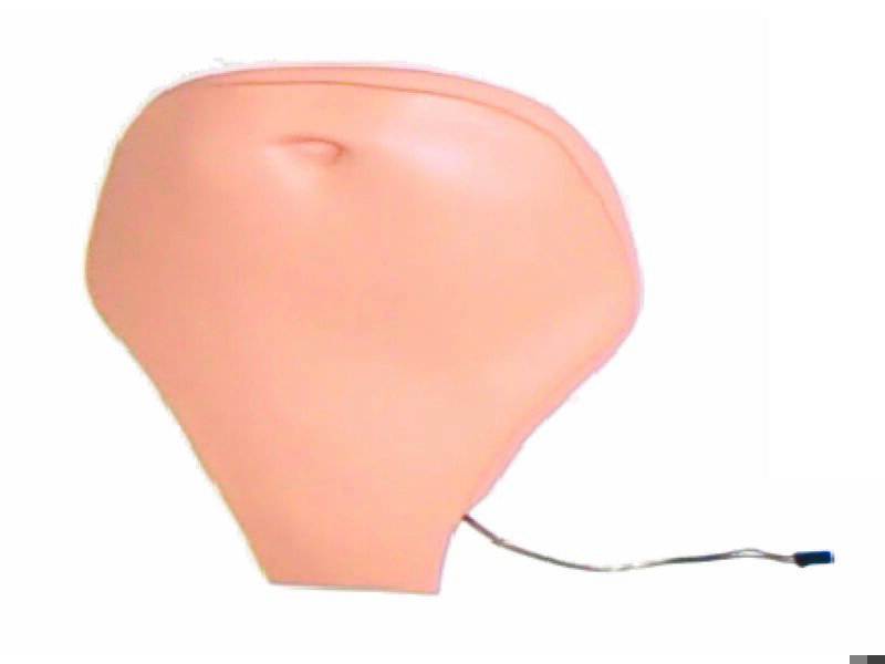 Belly Plate, Adult, with Speakers Light