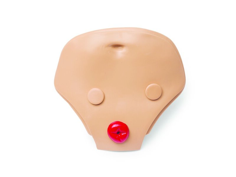 Belly Plate, Adult, 3 Hole Light