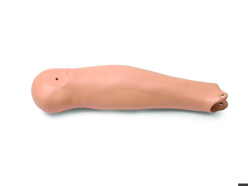 Calf, Right, Adult Light Skin