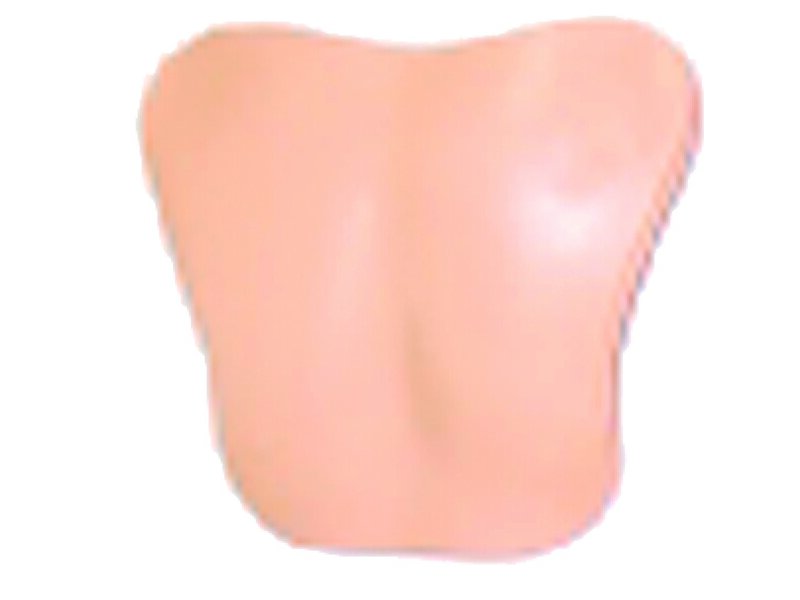 CHESTPLATE, HOSP PLAIN